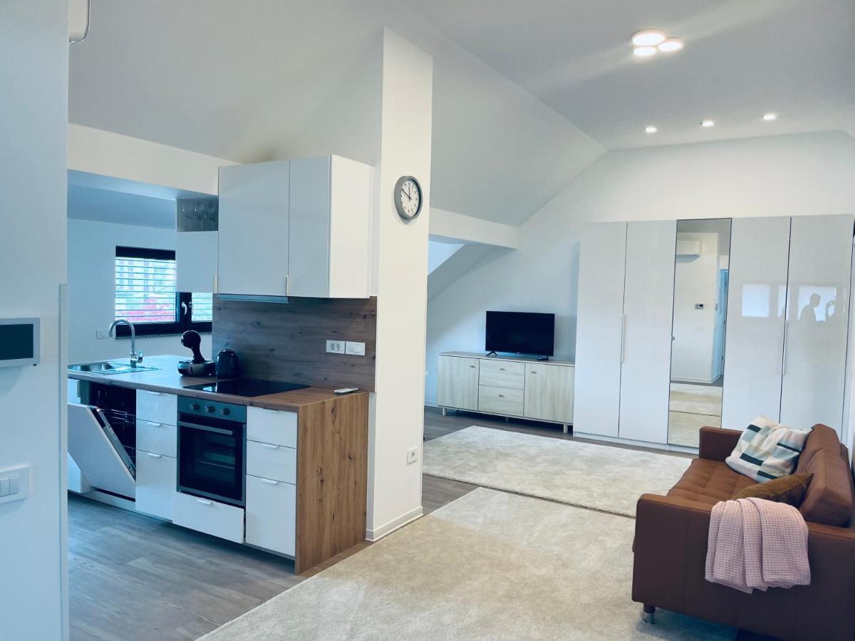 Villa Kovaceva 15, App 2, Free Parking Ljubljana Eksteriør bilde